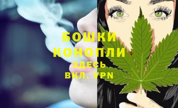 ПСИЛОЦИБИНОВЫЕ ГРИБЫ Вязьма