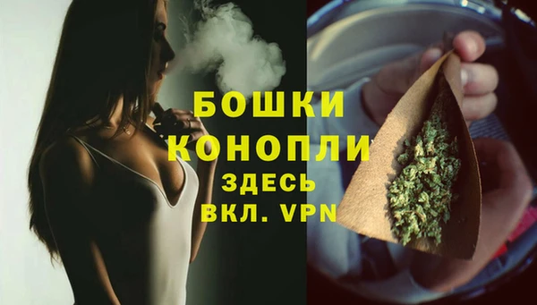 дживик Вязники