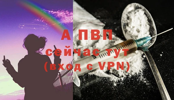 ПСИЛОЦИБИНОВЫЕ ГРИБЫ Вязьма