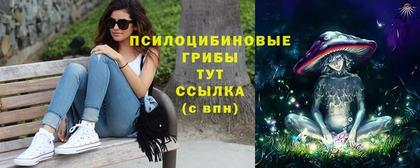 Альфа ПВП Вяземский