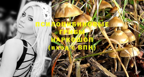 дживик Вязники