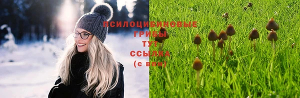 ПСИЛОЦИБИНОВЫЕ ГРИБЫ Вязьма