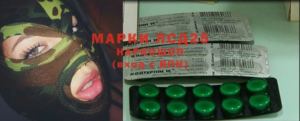 ПСИЛОЦИБИНОВЫЕ ГРИБЫ Вязьма