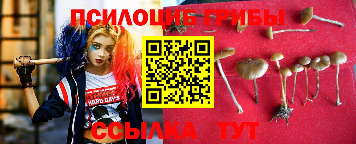 Дагестанские Огни  Псилоцибиновые грибы GOLDEN TEACHER  Вход с VPN 