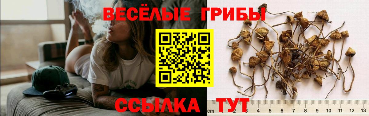  Cocaine Дагестанские Огни